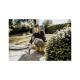 Пылесос Karcher WD 3 P V-17/4/20 (1.628-170.0) Пылесос Karcher WD 3 P V-17/4/20 (1.628-170.0)