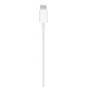 Зарядное устройство Apple MagSafe Charger (MHXH3ZE/A) Зарядное устройство Apple MagSafe Charger (MHXH3ZE/A)