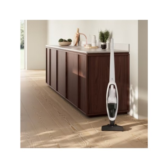 Пылесос Electrolux ES31CB18SH