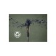 Пилосос Electrolux EP71B14WET Пилосос Electrolux EP71B14WET