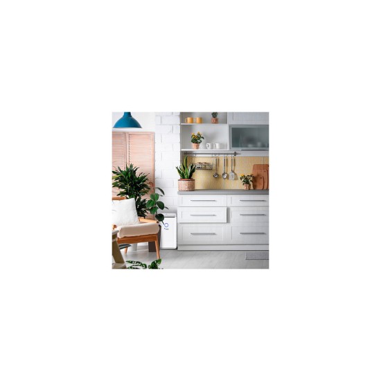 Осушитель воздуха MYCOND Roomer Smart 25 (ROOMER_SMART_25) Осушитель воздуха MYCOND Roomer Smart 25 (ROOMER_SMART_25)