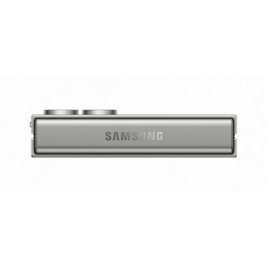 Мобильный телефон Samsung Galaxy Flip6 12/256Gb Silver Shadow (SM-F741BZSGSEK)