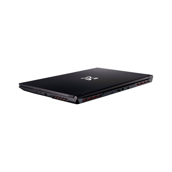 Ноутбук Dream Machines RG2050-17 (RG2050-17UA20)
