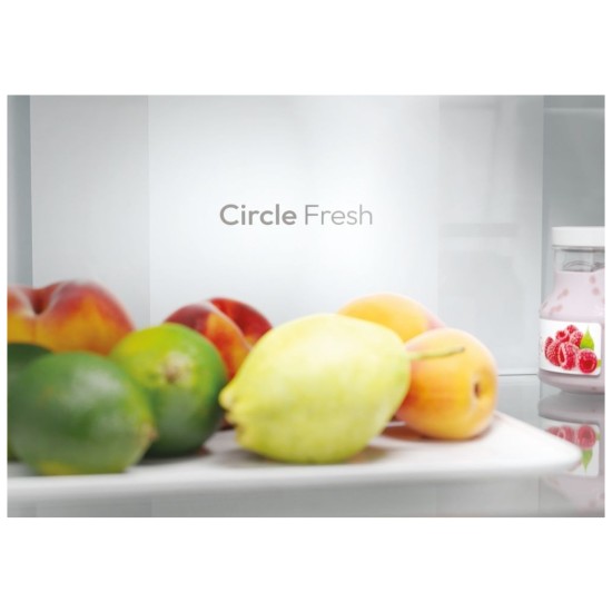 Холодильник Candy ECN2CQTEX206