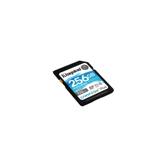Карта памяти Kingston 256GB SDXC class 10 UHS-I U3 Canvas Go Plus (SDG3/256GB)