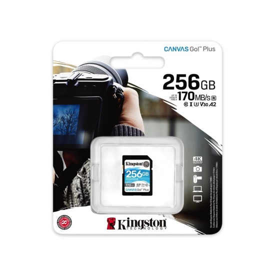 Карта памяти Kingston 256GB SDXC class 10 UHS-I U3 Canvas Go Plus (SDG3/256GB)