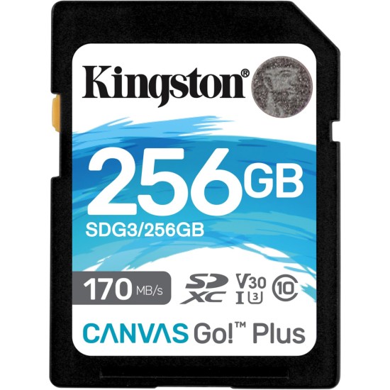 Карта памяти Kingston 256GB SDXC class 10 UHS-I U3 Canvas Go Plus (SDG3/256GB)